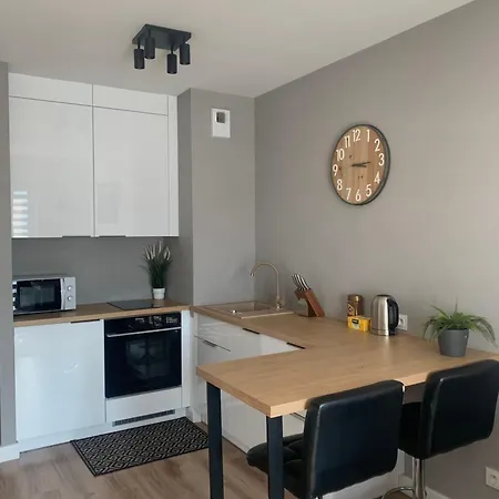 Apartment Diasfera Fancy Of Center